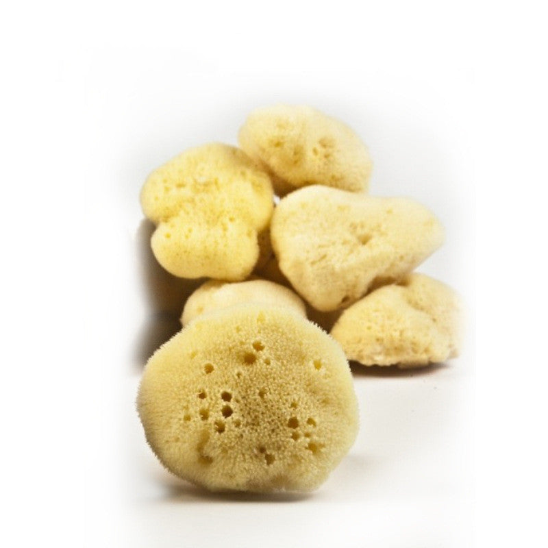 Natural Velvet Makeup Remover Sponge